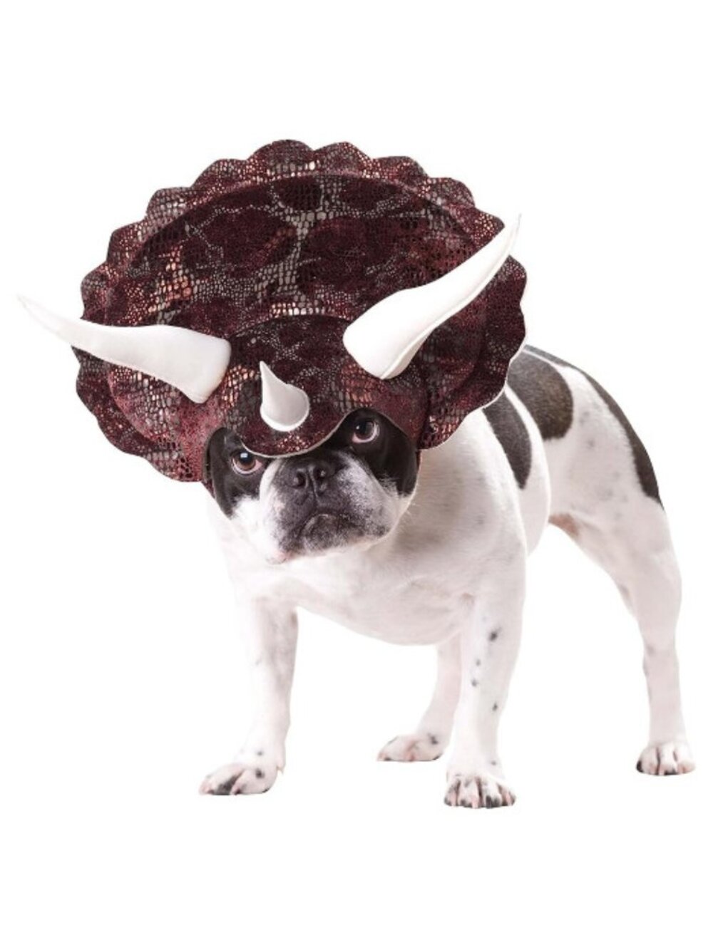 Triceradog Dog Costume
